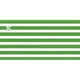 CABANA GREEN  TOWEL