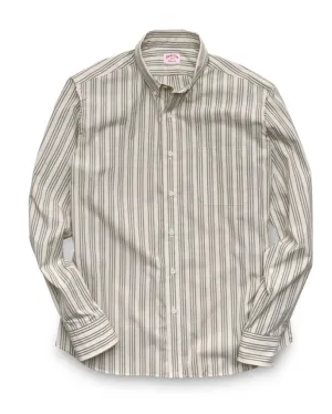 Colby Stripe