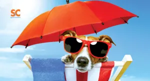 DOG UMBRELLA TOWEL