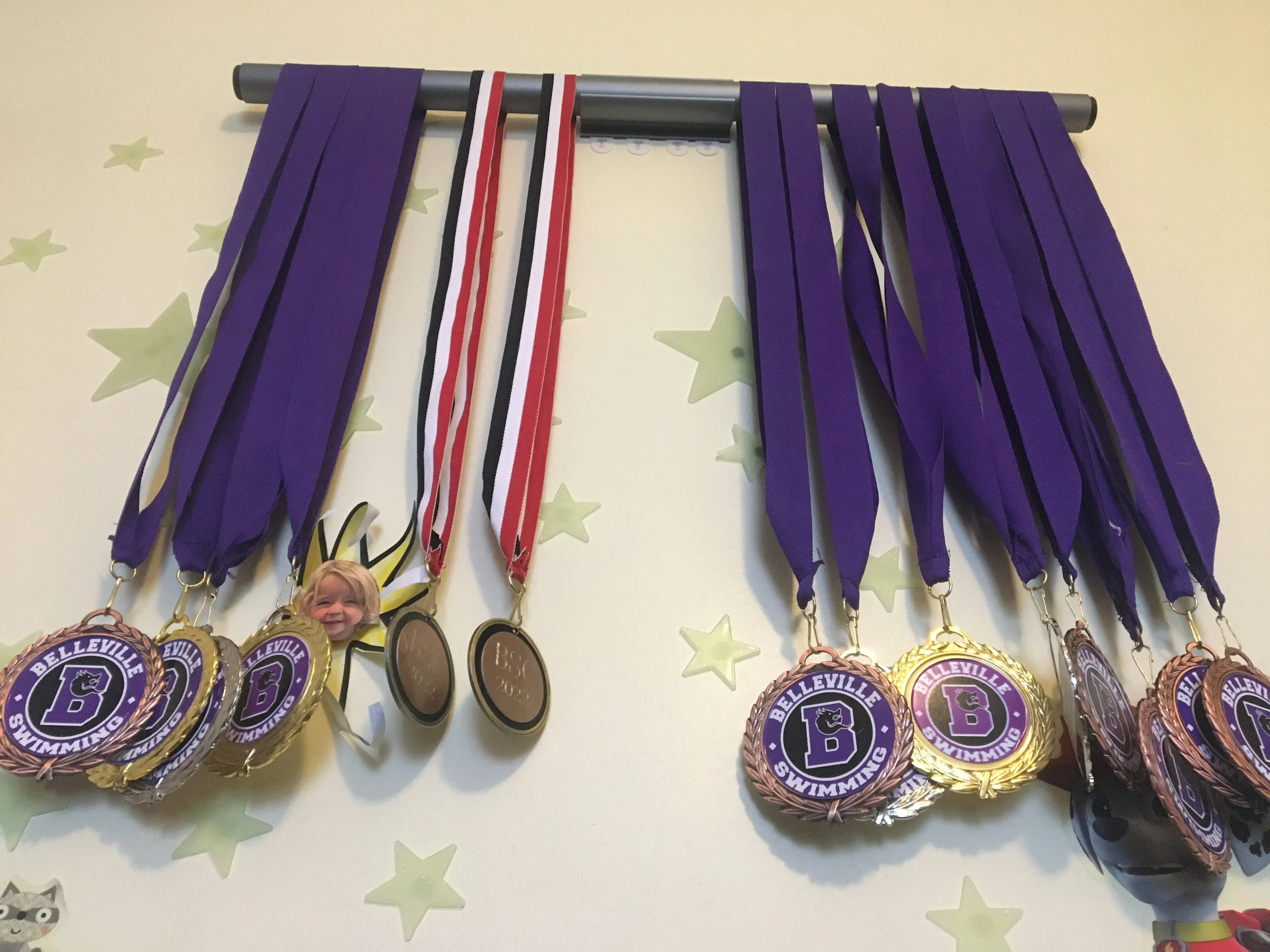 Medal Mount