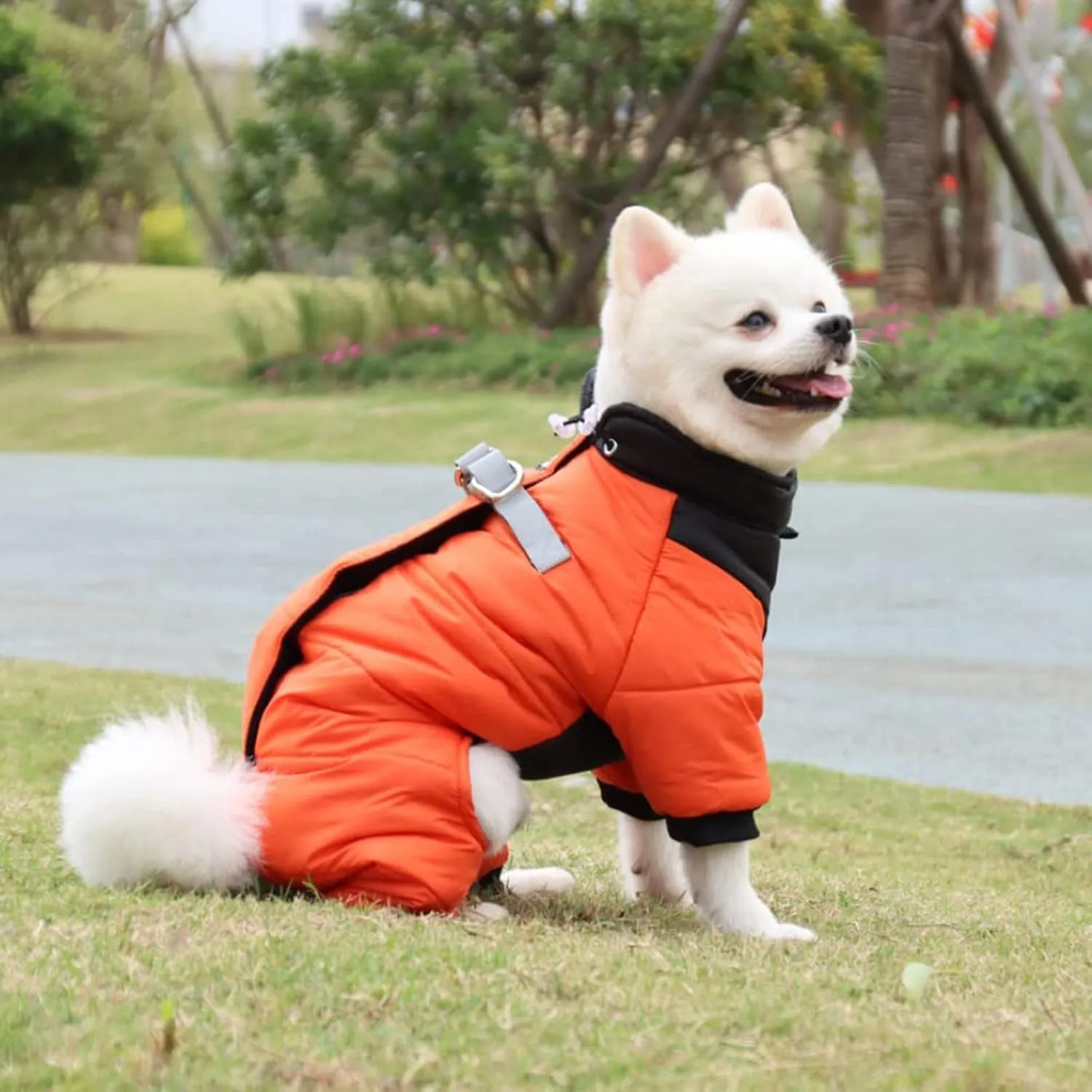 New Duomm Cozy Waterproof Windproof Reversible Winter Dog Jacket with Harness Fits 9 Lb- 12 Lb Dog