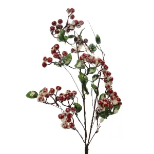 Red Berry Spray