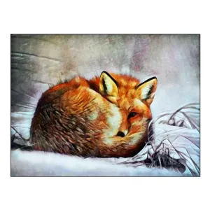 Red Fox Curl Up