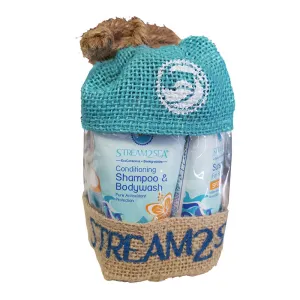 Stream2Sea Reef Sentinel Kit - Lite