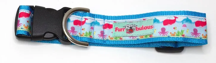 Under the Sea Sport Collar 1.5"